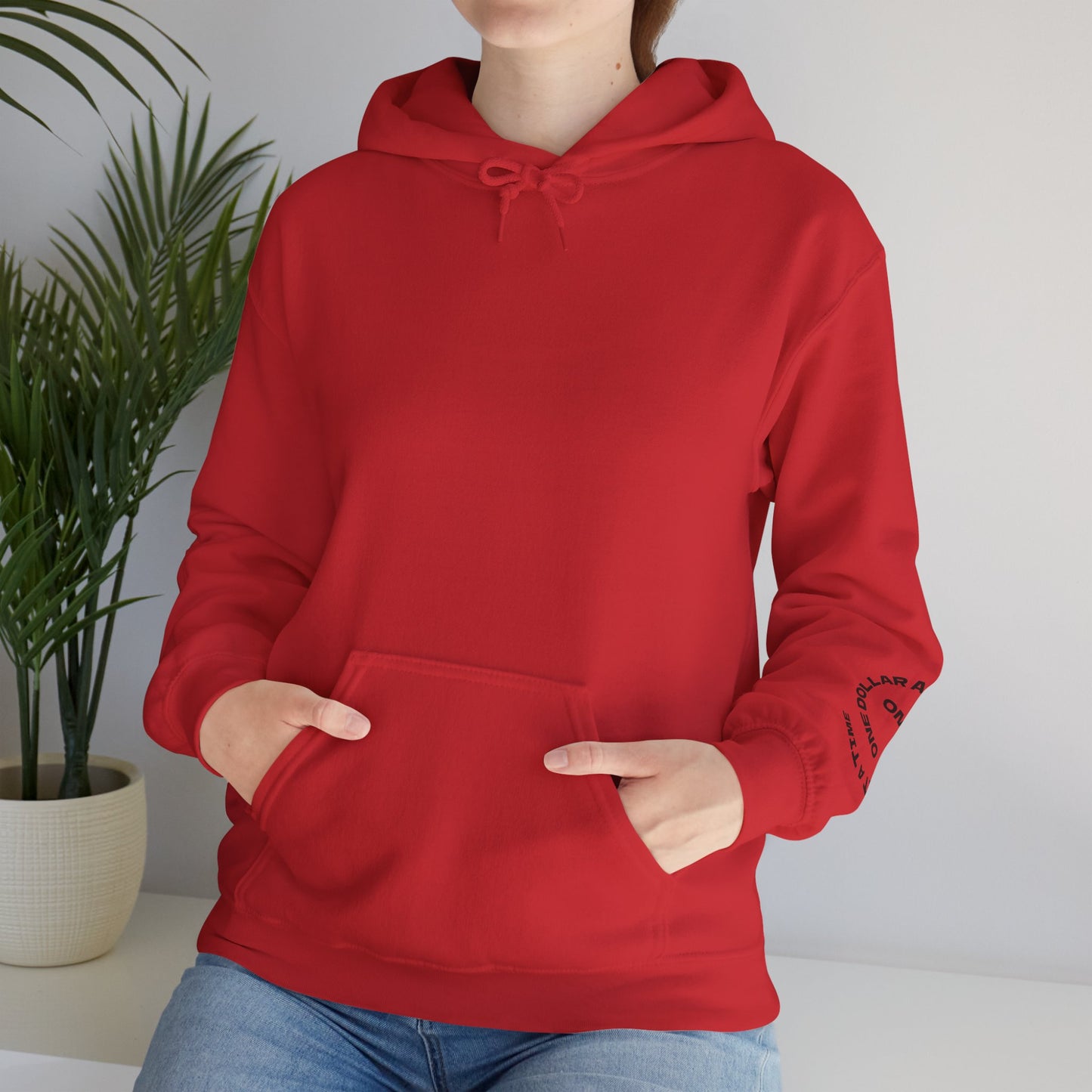 Dollar A Day Master The Mindset Hoodie